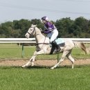 단(골프연습장업) 이미지