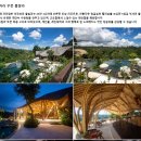 신혼여행 준비 끝! 발리 코리아 투어 상담 진행부터 계약까지 찐찐찐 솔직후기👰🤵(with 제이웨딩)