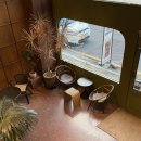 팜스발리 이미지