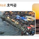 호미곶면 호미곶 네이버블로그