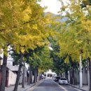 만덕2동-11 이미지