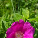 청웅면 복지회관 이미지