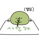 푸른열매달 이미지