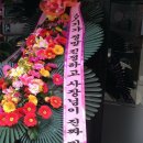 마싯 이미지