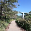 좌광천산책로2 이미지