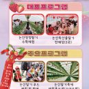 자매농장 | 2026년 논산딸기축제 체험 가격 비용 프로그램 농장 예약 신청 방법 최신 정보 총정리