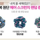 단하 이미지