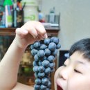 진미농원 이미지