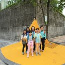 옐로카펫 이미지