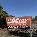 렉스 | 제주 조천 수영장 있는 애견카페 도그렉스 후기(+너티포비 강아지 샴푸)