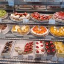 보노베리 - 16174 | 보노베리