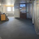 카멜리아 이미지