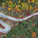 이례로-3 이미지