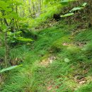 명전계곡 이미지