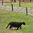 카페송림 이미지