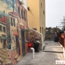 쉐이리코타키나 이미지