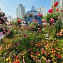 뚝섬한강공원-79 이미지