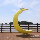 사곡1구 | 여수 여행 갯벌노을마을 장척마을 여자만갯벌 노을체험행사 여자도