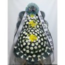 강원특별자치도영월의료원 이미지