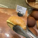 “미슐랭 3스타?! 갓 구운 빵 냄새..🍞🤎”_ 대전 곤트란쉐리에 방문 후기