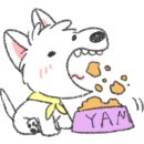 디스크독 연구소 이미지