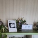 장수읍 작은도서관 이미지