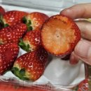 만회농장 이미지