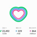 하이난아일랜드 이미지