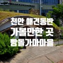 동반상사 | 수요일 연차내고 애견동반 가능한 천안 [뚜쥬루 빵돌가마마을] 방문 후기!
