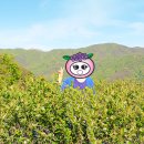 삼흥농장 이미지