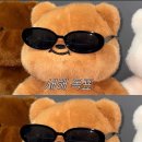 트리플 짐 이미지