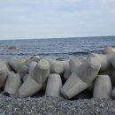 방파제 낚시 편의점 이미지