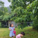 모닝아이 시화점 | [3일차] 부여 여행 끝, 오이도 갯벌체험 시작