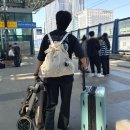 자브인 | 자브 기저귀가방 백팩 1년 내돈내산 솔직 사용 후기 장점 단점