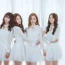 베리어스 세계일보