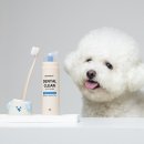 바이클린 이미지