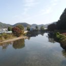 덕치주유소 Daum카페