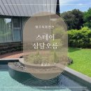 오름유통 | 제주 성산 독채펜션 스테이삼달오름 시댁 가족여행 온수풀빌라 숙소 후기