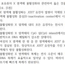 GS25 경희의대점 | 2025학년도 경희대학교 의대편입 치대편입 약대편입 한의대편입 생물 기출문제와 해설 16번~22번