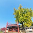 교촌3길 6 이미지