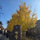 양보주유소 | 경주 첨성대 미디어아트 폴 바셋 황남 우엉 김밥 감포항 계피 빵 후기