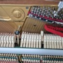 남춘천중학교 이미지