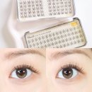 11545-08-02-17 | 필리밀리 속눈썹 01 퓨어데일리, 02 또렷데일리 올리브영 가닥속눈썹추천