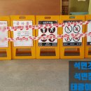 안산초등학교 네이버블로그