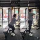 황새울로132번길 | [분당PT/피티세븐] 중년여성 어떠한 운동이 좋을까?