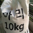 이병용 농장 Daum카페