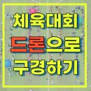 모션그릿 이미지