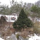 곤지암읍-8 이미지