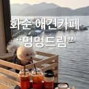 멍멍드림 이미지