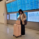 티아그 | 여행용 캐리어 28인치 추천 크기 무게 티아그 리오
